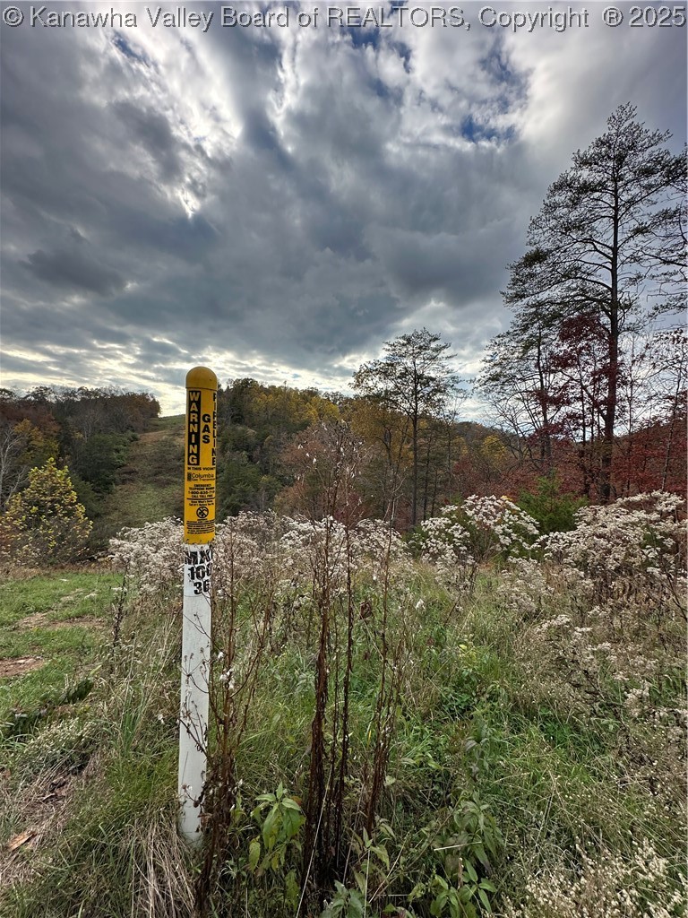 621 3 Mile Road Brohard, WV 26138 - Photo 11 of 48 Gallery Image 11