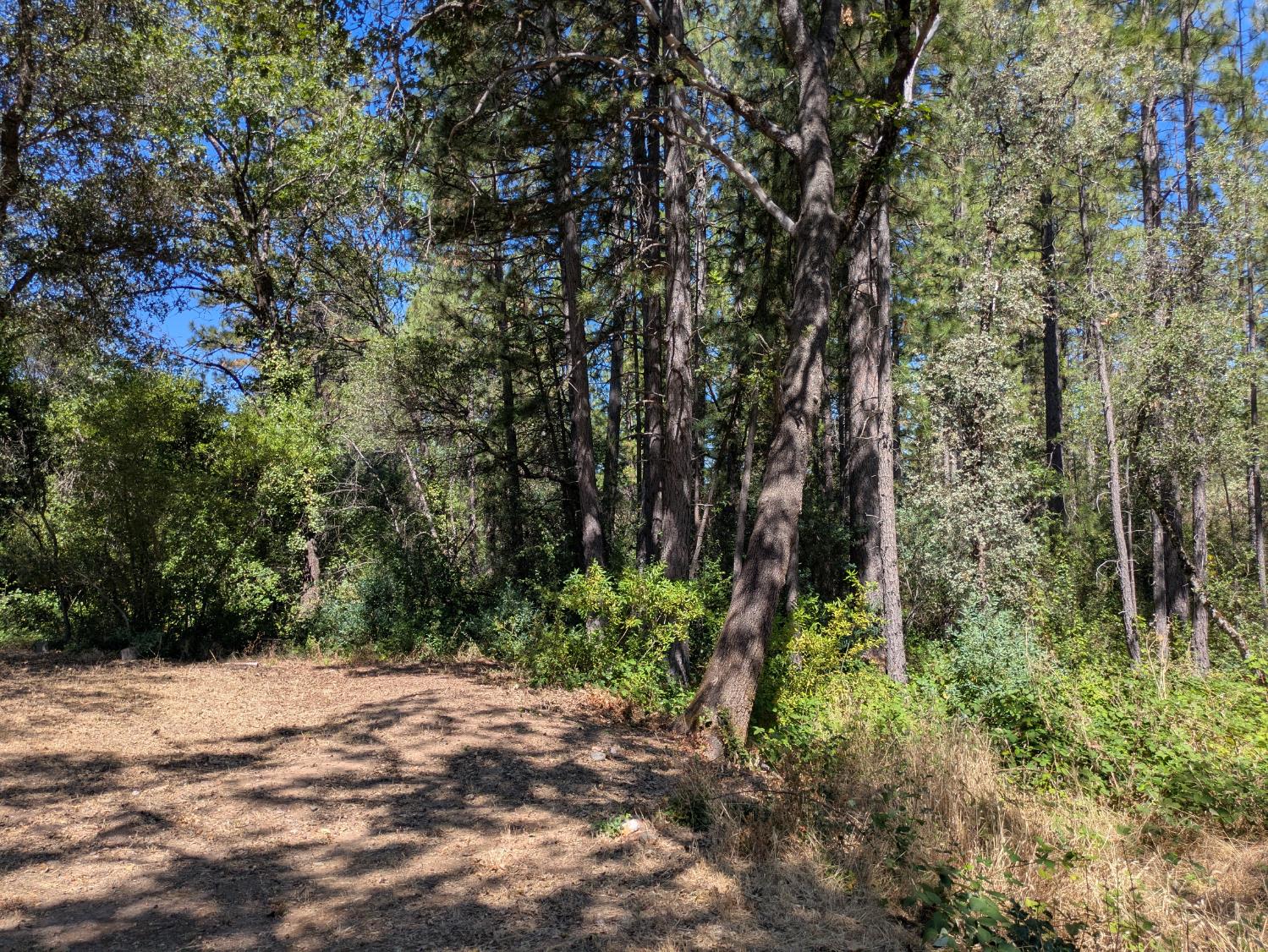 12986 Rough And Ready Highway Rough and Ready, CA 95975 - Photo 22 of 28