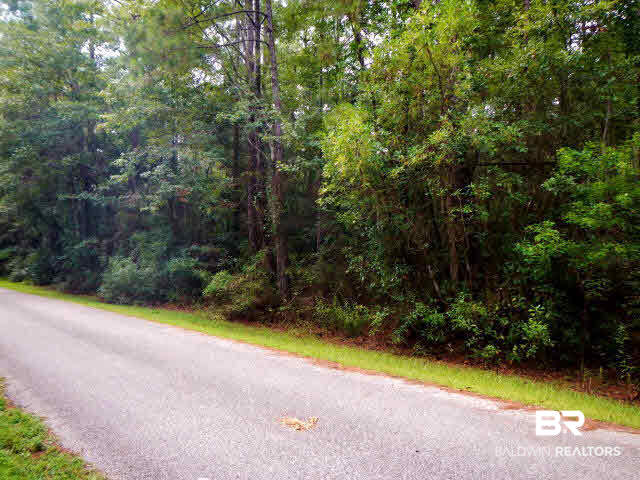 0 Heather Dells Lane Foley, AL 36535 - Photo 1 of 1
