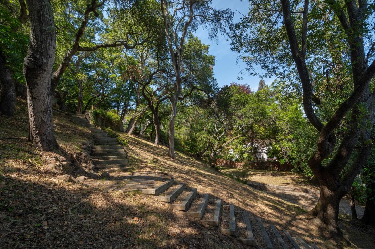 775 Bowhill Road Hillsborough, CA 94010 - Photo 25 of 28 a view of a yard with plants and trees