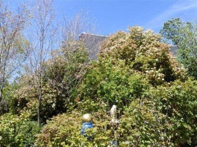 29581 North Lower Valley Road Tehachapi, CA 93561 - Photo 2 of 29 Gallery Image 2