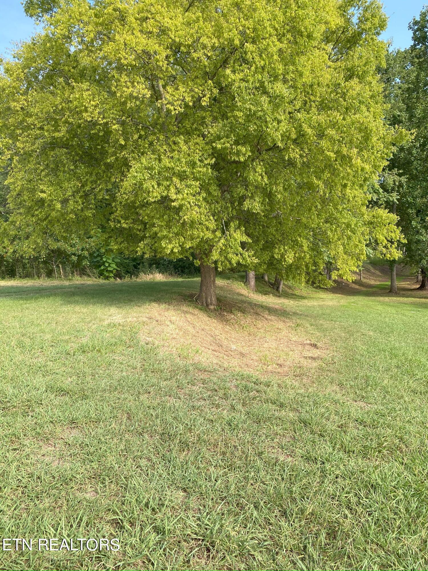 Torbett Rd Spring Spring City, TN 37381 - Photo 5 of 11 IMG_0270