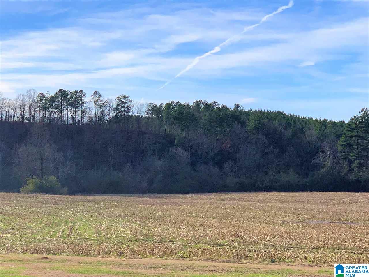 1141 County Road 482 Heflin, AL 36264 - Photo 6 of 44