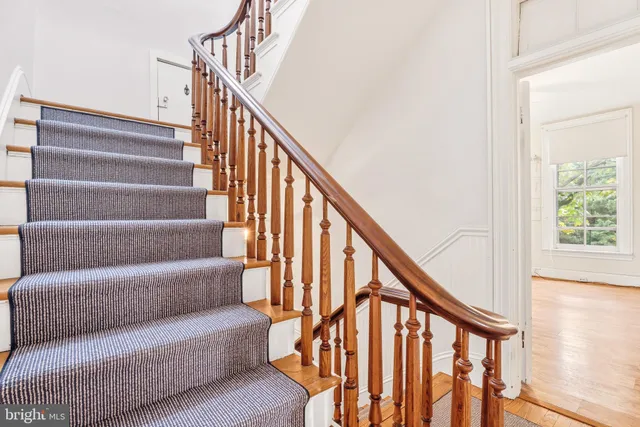 a view of a backyard with a garden and plants