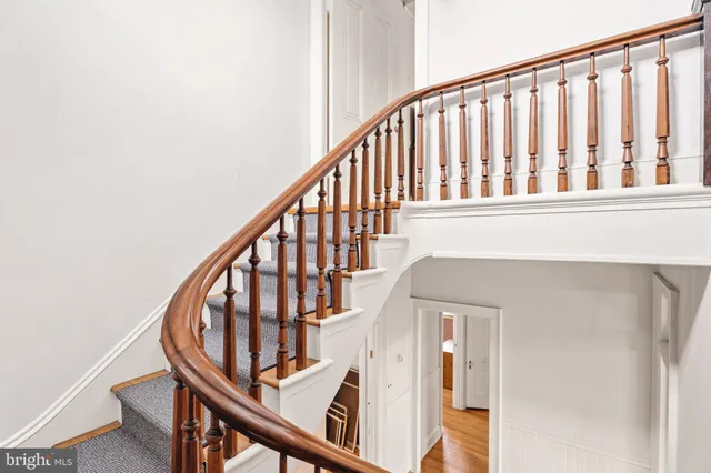 a view of a yard with plants and trees