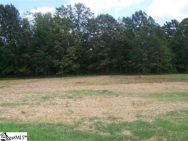 430 Mandy's Meadow Drive Inman, SC 29349 - Photo 3 of 7 Gallery Image 3