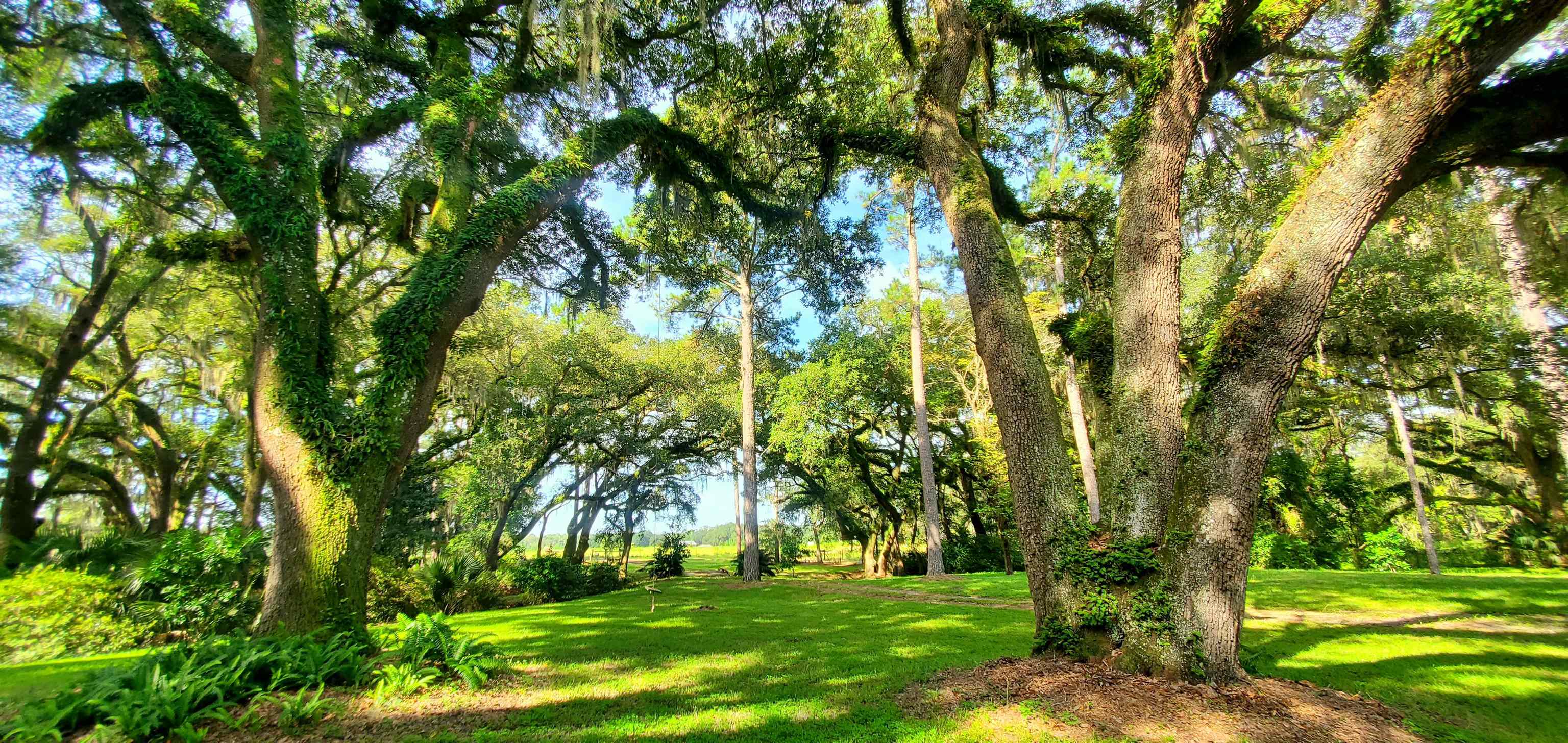 1142 Hingson Tanner Road Perry, FL 32347 - Photo 5 of 36