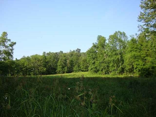 0 Hadley Cohron Road Bowling Green, KY 42101 - Photo 5 of 14 Gallery Image 5