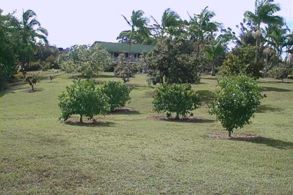6501 Kahuna Road Kapaa, HI 96746 - Photo 20 of 23 Gallery Image 20