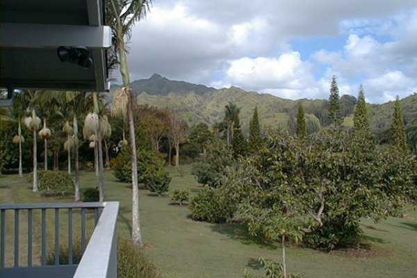 6501 Kahuna Road Kapaa, HI 96746 - Photo 21 of 23 Gallery Image 21