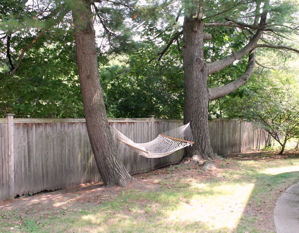 5 Parallel Street Arlington, MA 02474 - Photo 28 of 29 Gallery Image 28