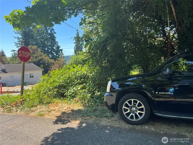 a front view of a house with a tree