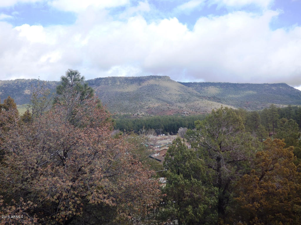 3709 Watertank Road Pine, AZ 85544 - Photo 18 of 22 View from Cupala