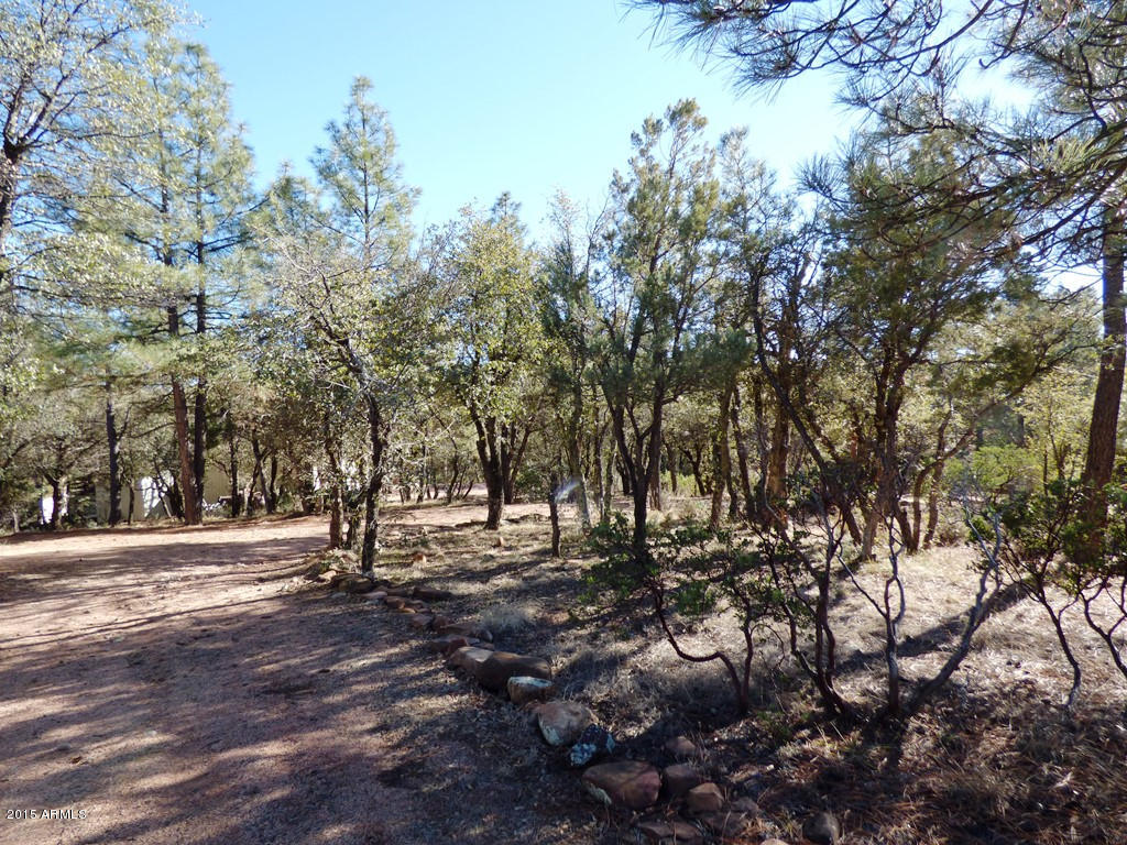 3709 Watertank Road Pine, AZ 85544 - Photo 21 of 22 Front yard & driveway