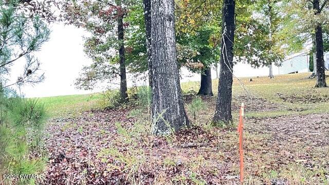 3 John Anderson Road Medon, TN 38356 - Photo 29 of 30 IMG_2792