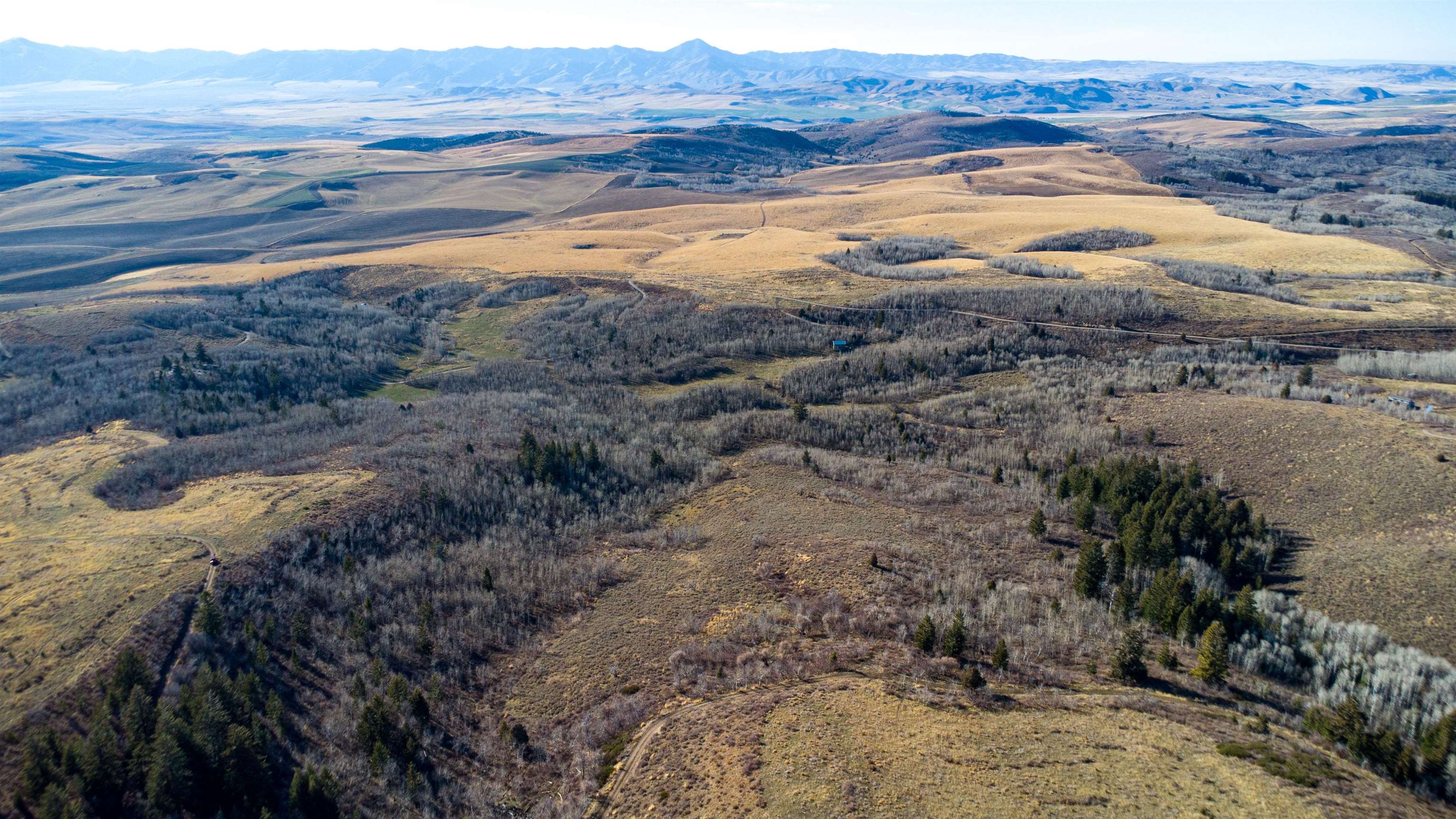 Mercer Creek Road Arimo, ID 83214 - Photo 12 of 23 Gallery Image 12