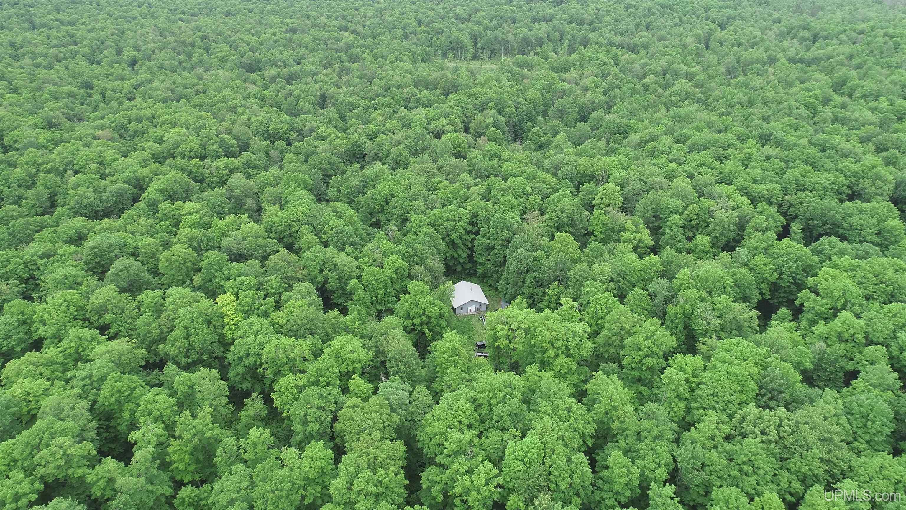 40-acres The Grade Road Crystal Falls, MI 49920 - Photo 38 of 39