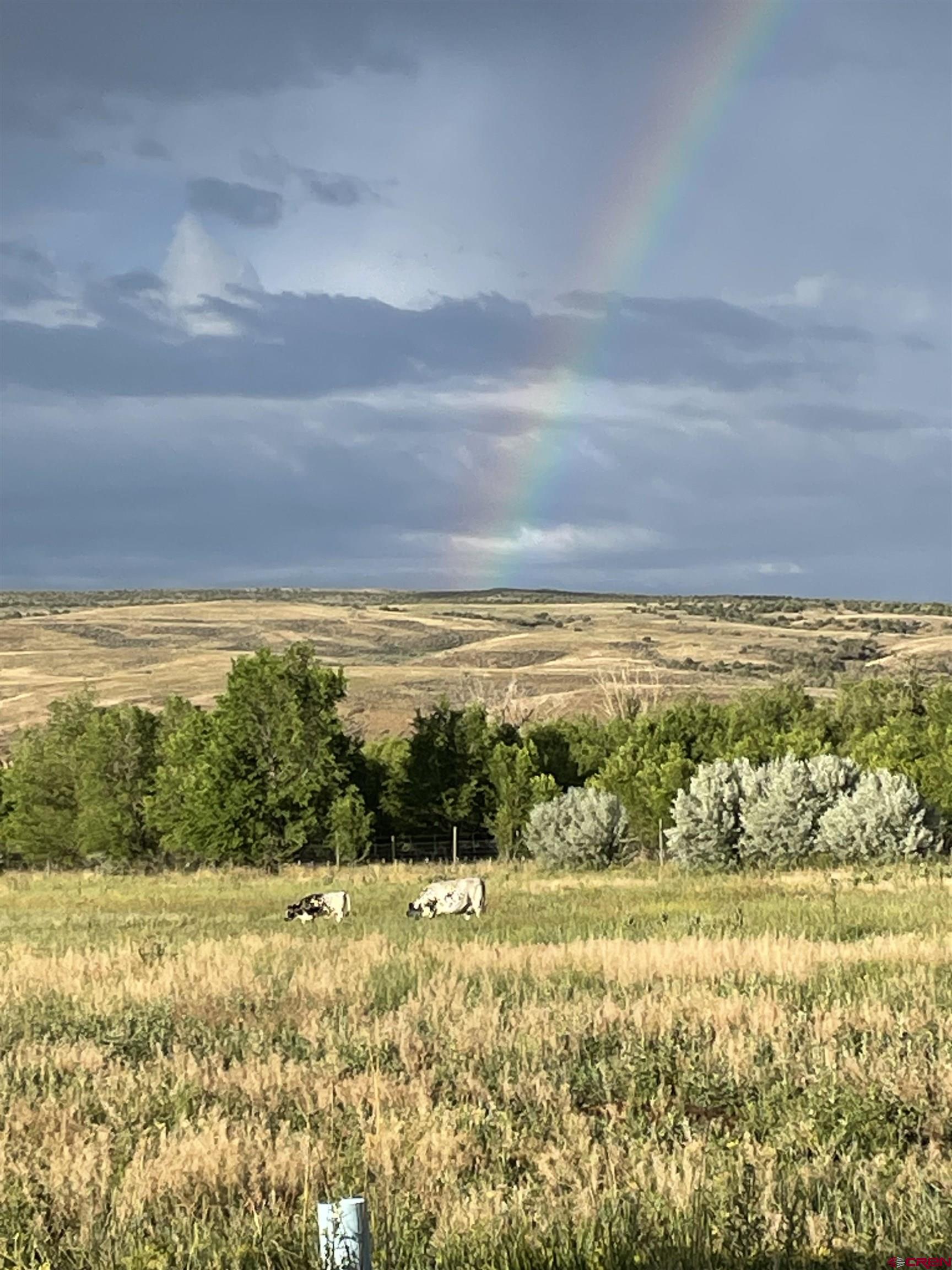 30394 J Road Hotchkiss, CO 81419 - Photo 41 of 45