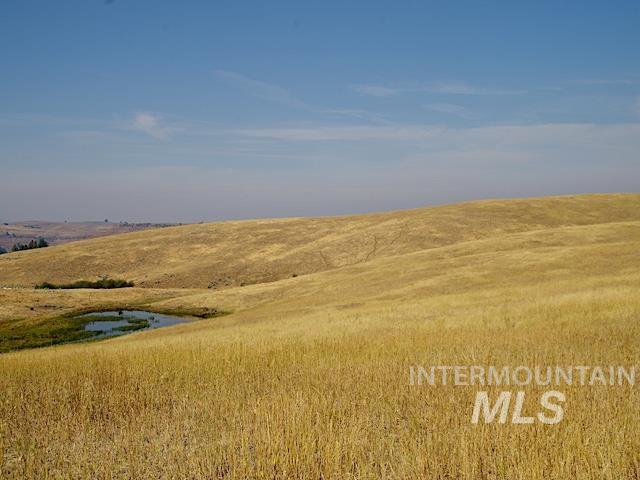 Tbd Tbd Ditch Creek Road Council, ID 83612 - Photo 8 of 11