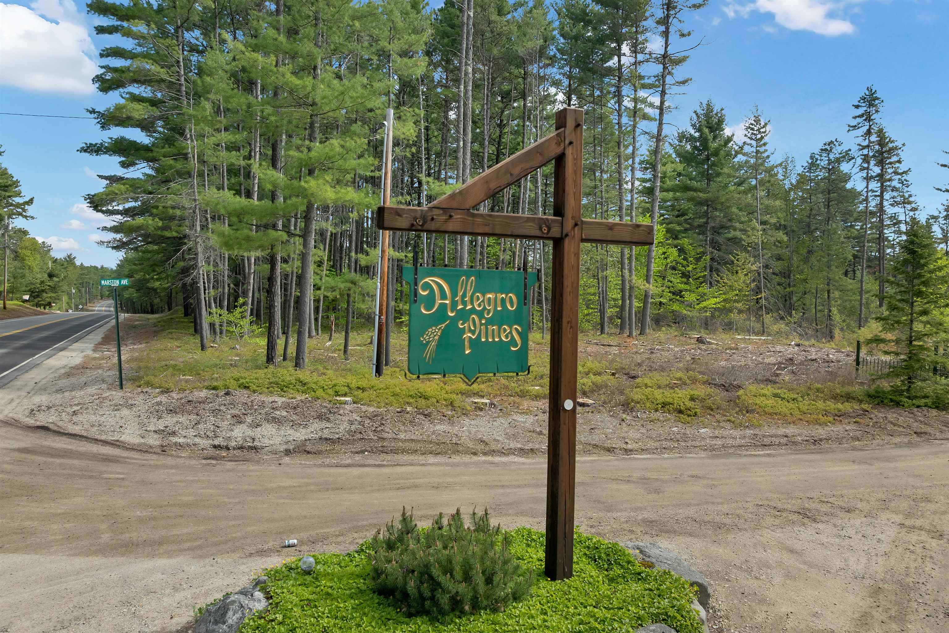 0 Caroline Road Silver Lake, NH 03875 - Photo 7 of 19