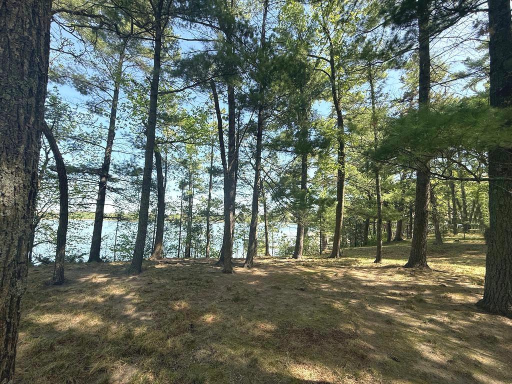 23976 County 80 Nevis, MN 56467 - Photo 21 of 25