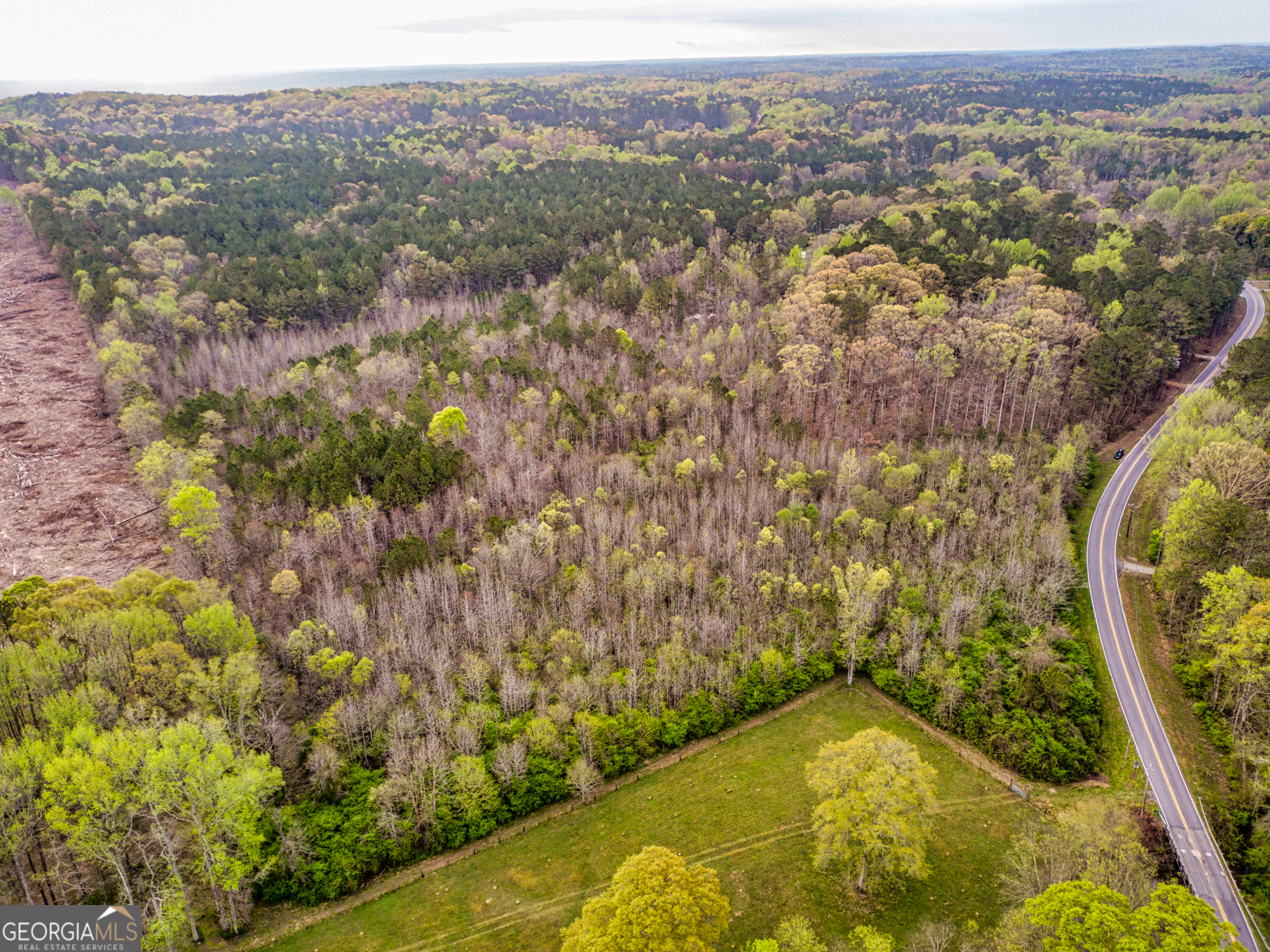 0 Mount Carmel Road Newnan, GA 30263 - Photo 11 of 13 an aerial view of residential houses with outdoor space and trees