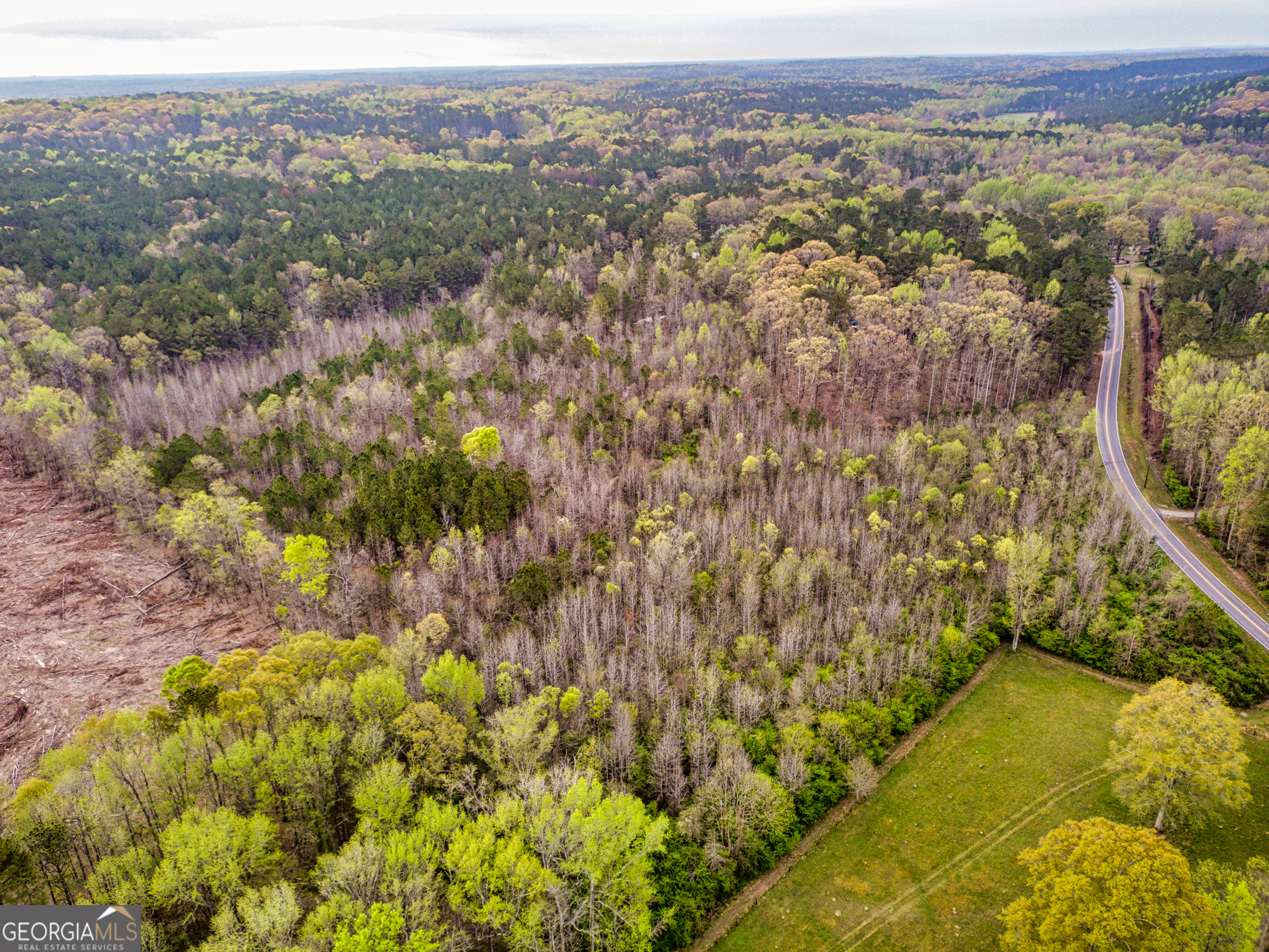0 Mount Carmel Road Newnan, GA 30263 - Photo 12 of 13 a view of a city with lush green forest