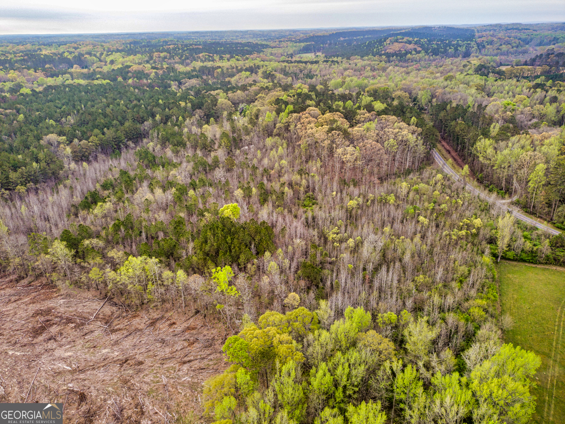 0 Mount Carmel Road Newnan, GA 30263 - Photo 13 of 13 a view of a yard with an outdoor seating