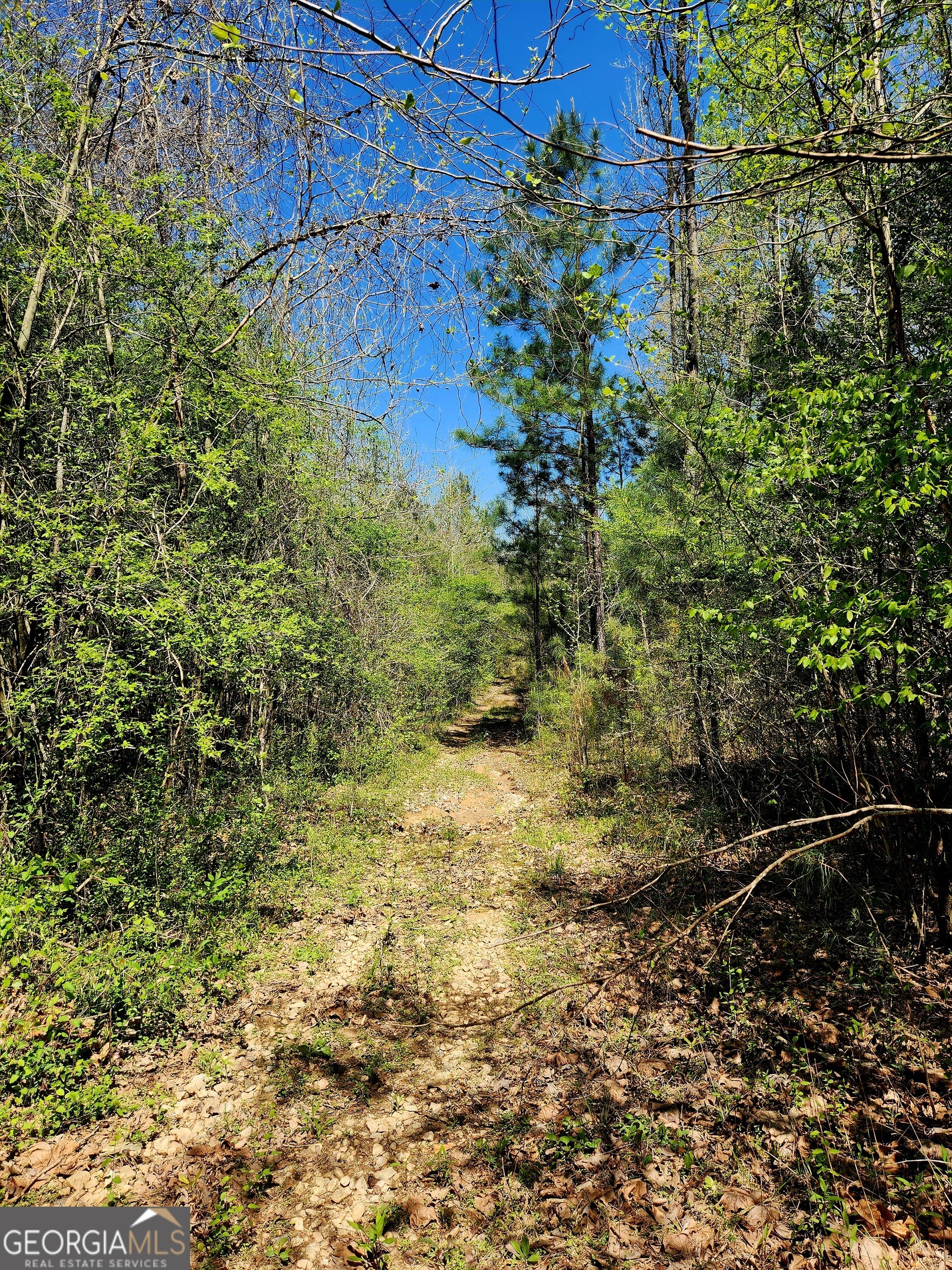 0 Mount Carmel Road Newnan, GA 30263 - Photo 2 of 13 a view of a yard