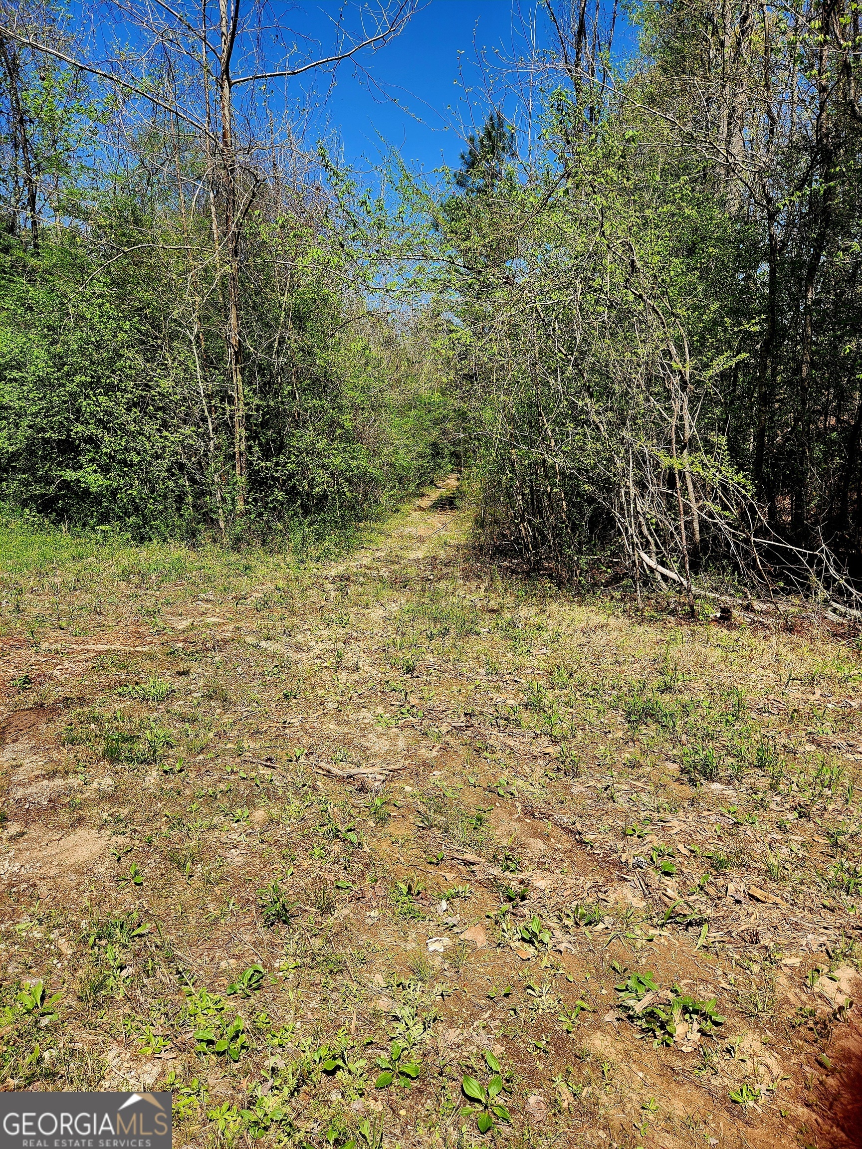 0 Mount Carmel Road Newnan, GA 30263 - Photo 3 of 13 a view of a yard with an trees