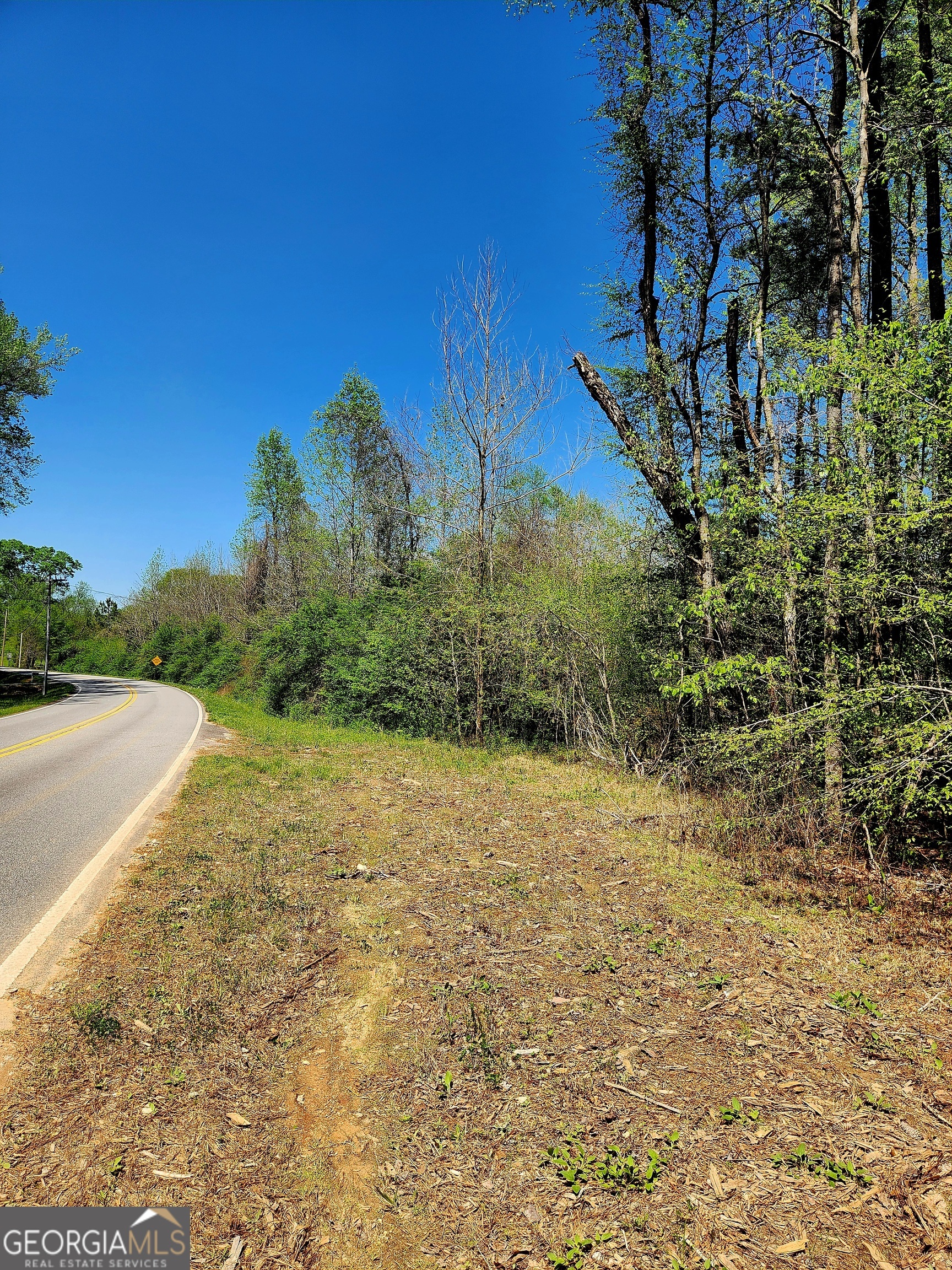 0 Mount Carmel Road Newnan, GA 30263 - Photo 4 of 13 a view of a yard with a tree
