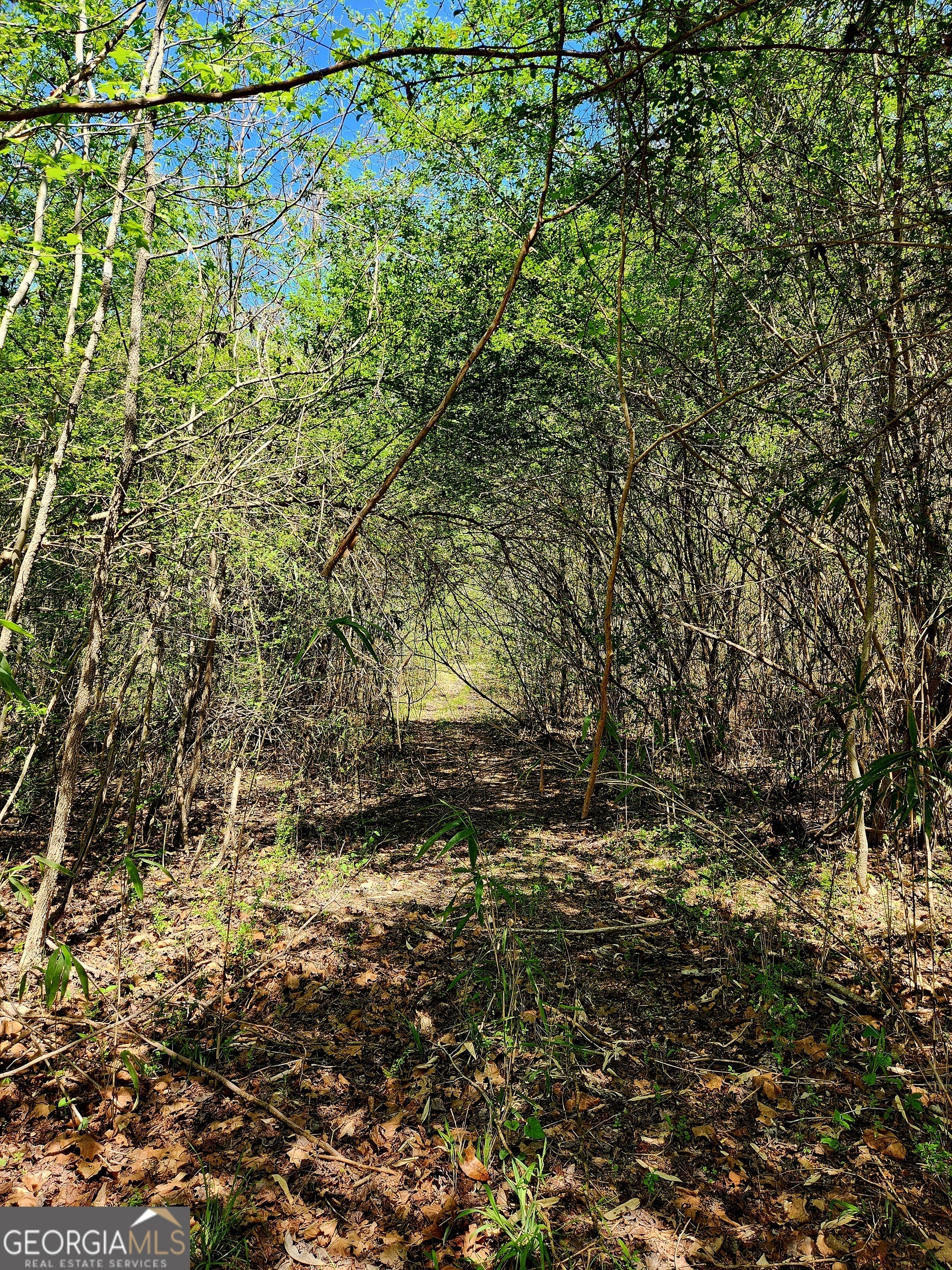 0 Mount Carmel Road Newnan, GA 30263 - Photo 5 of 13 a view of a yard with a tree