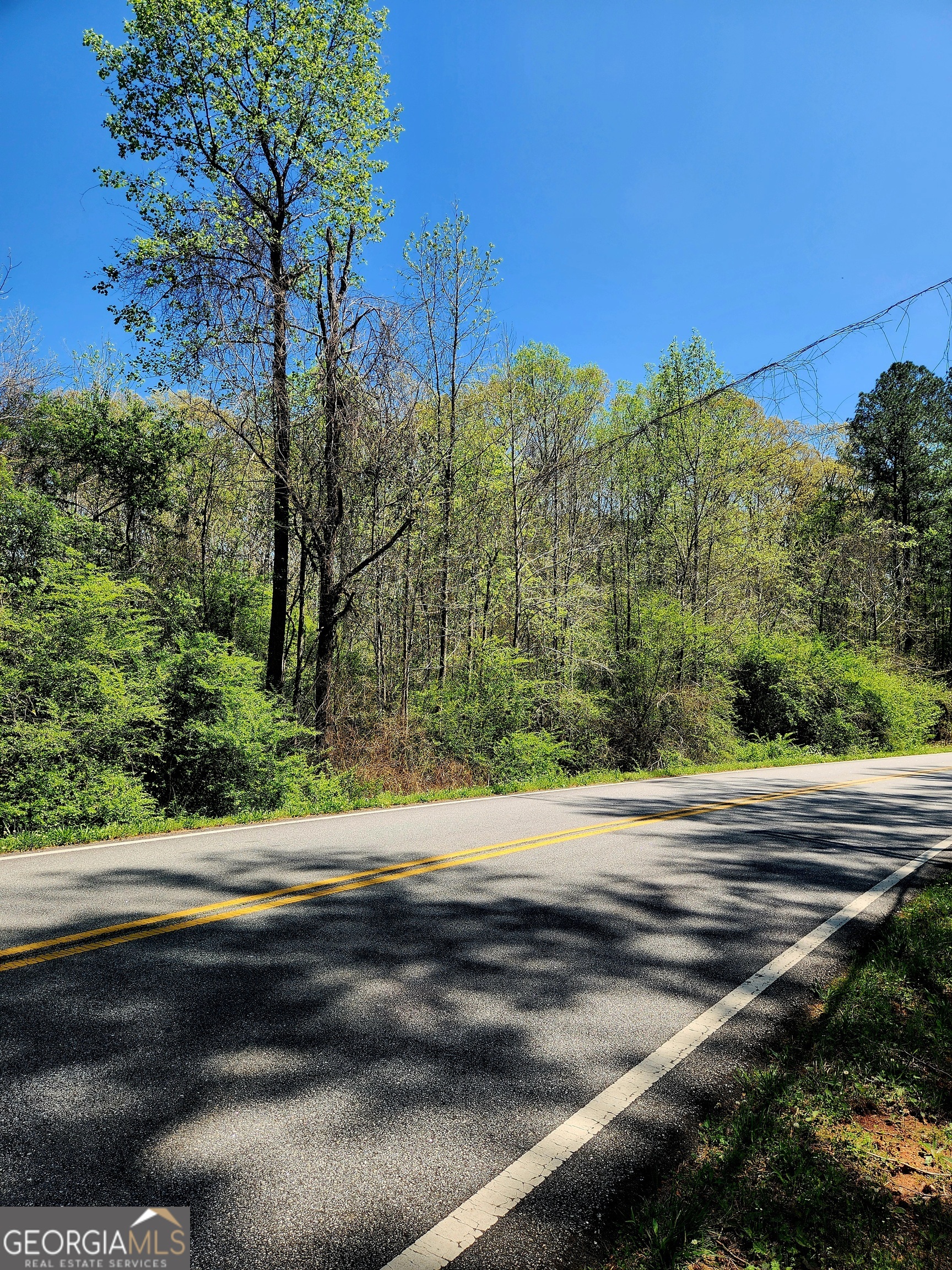 0 Mount Carmel Road Newnan, GA 30263 - Photo 7 of 13 a view of a street view