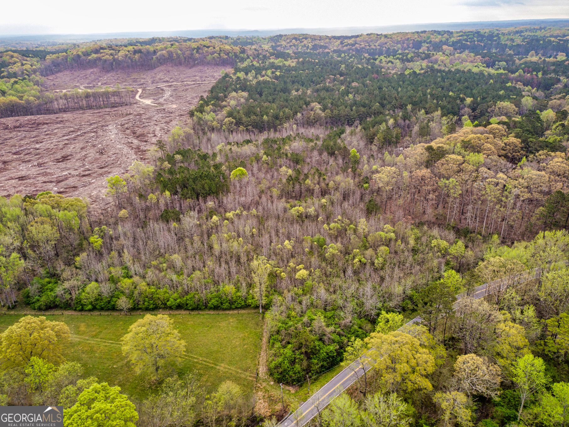 0 Mount Carmel Road Newnan, GA 30263 - Photo 10 of 13 a view of lake and mountain