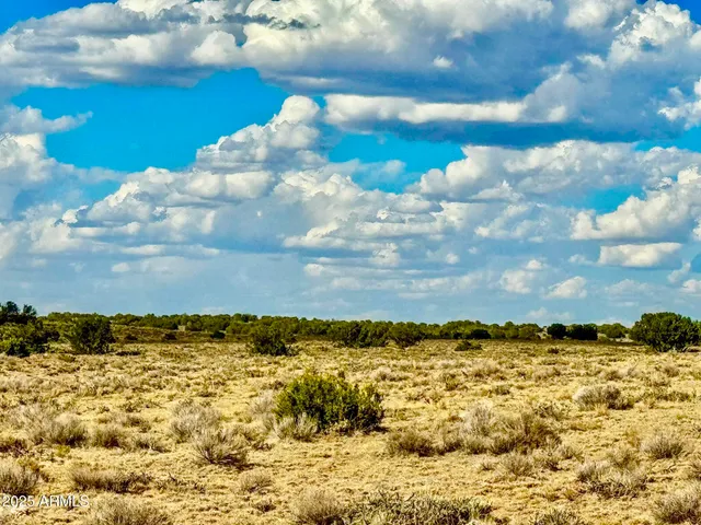 a view of an ocean beach