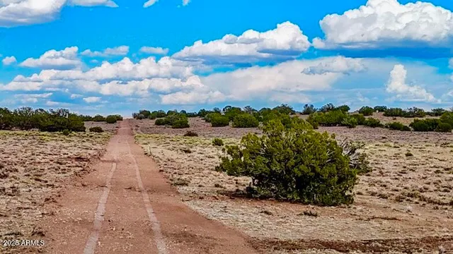 a view of a pathway with a building in the background