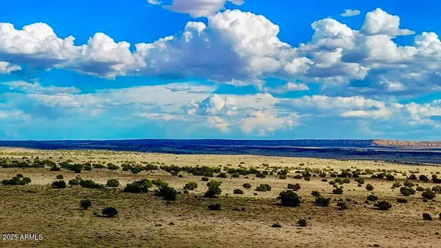 a view of a dry yard with wooden fence