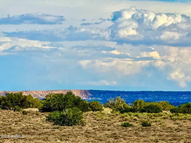 a view of a bunch of flowers