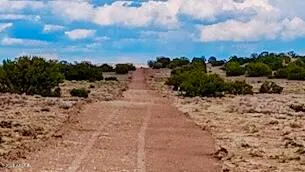 a view of a dry yard covered with snow