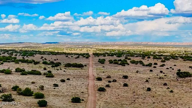 a view of an ocean beach