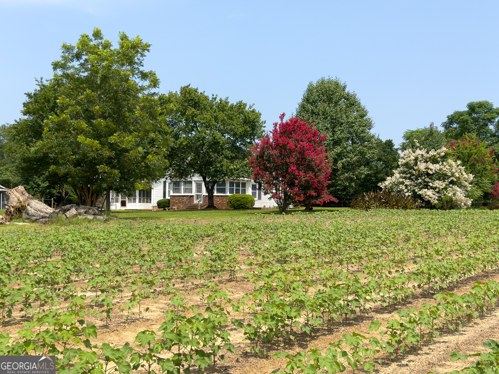 1300 Terry Drive Stapleton, GA 30823 - Photo 21 of 52 Gallery Image 21