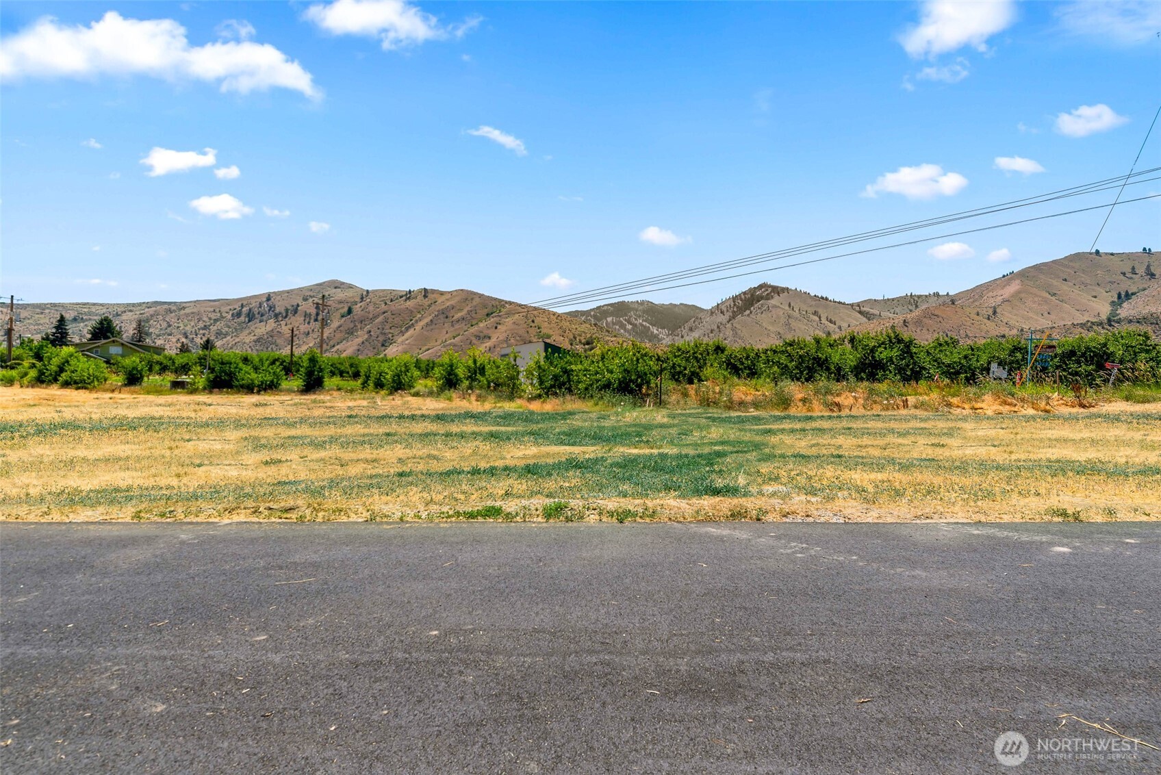 20 Penstemon Lane Monitor, WA 98836 - Photo 11 of 16