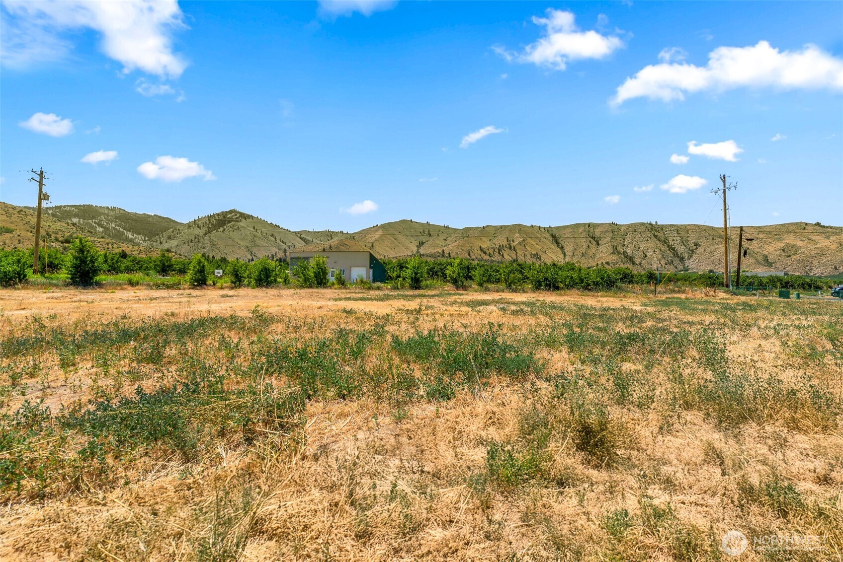 20 Penstemon Lane Monitor, WA 98836 - Photo 14 of 16