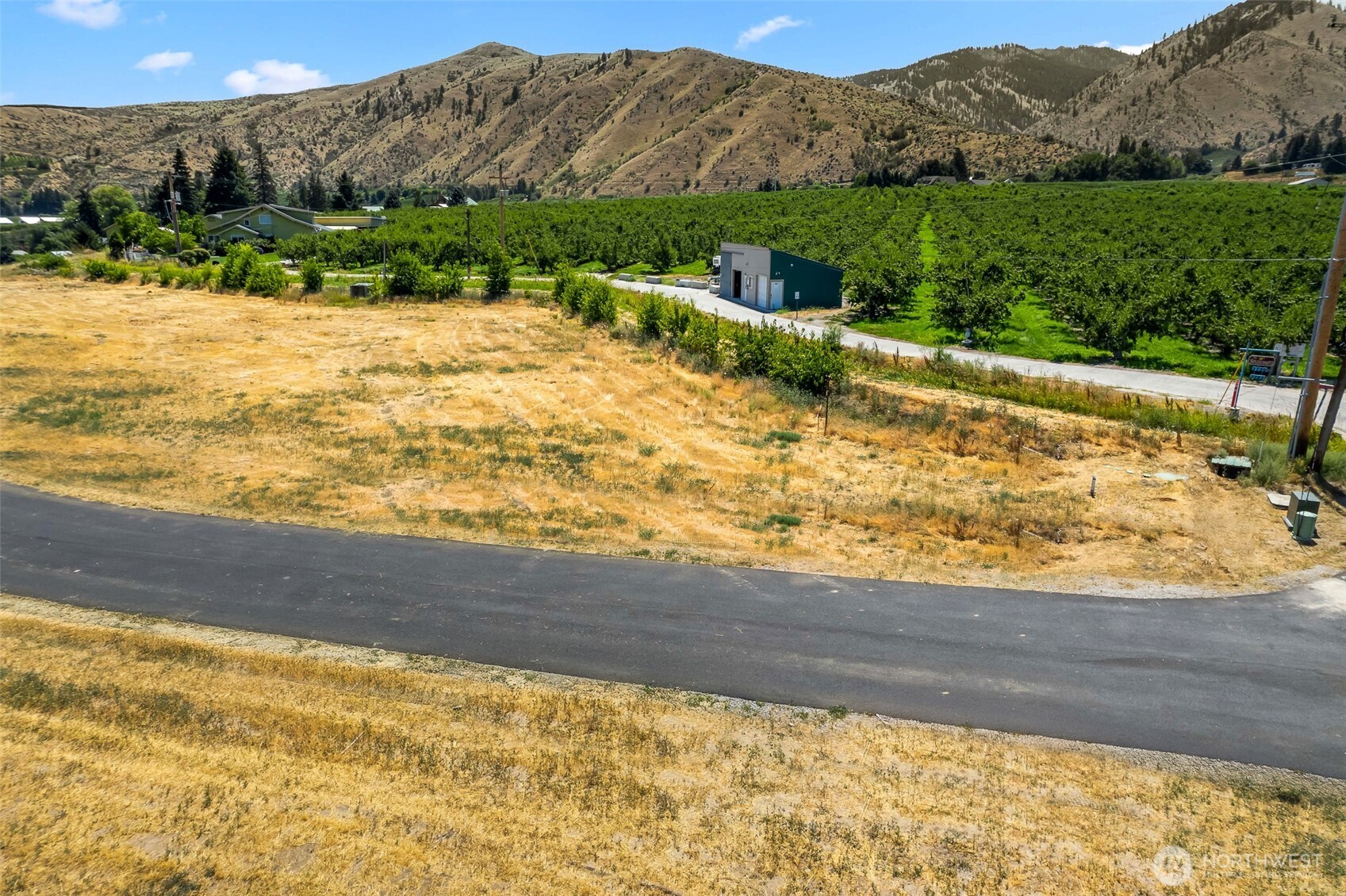 20 Penstemon Lane Monitor, WA 98836 - Photo 2 of 16