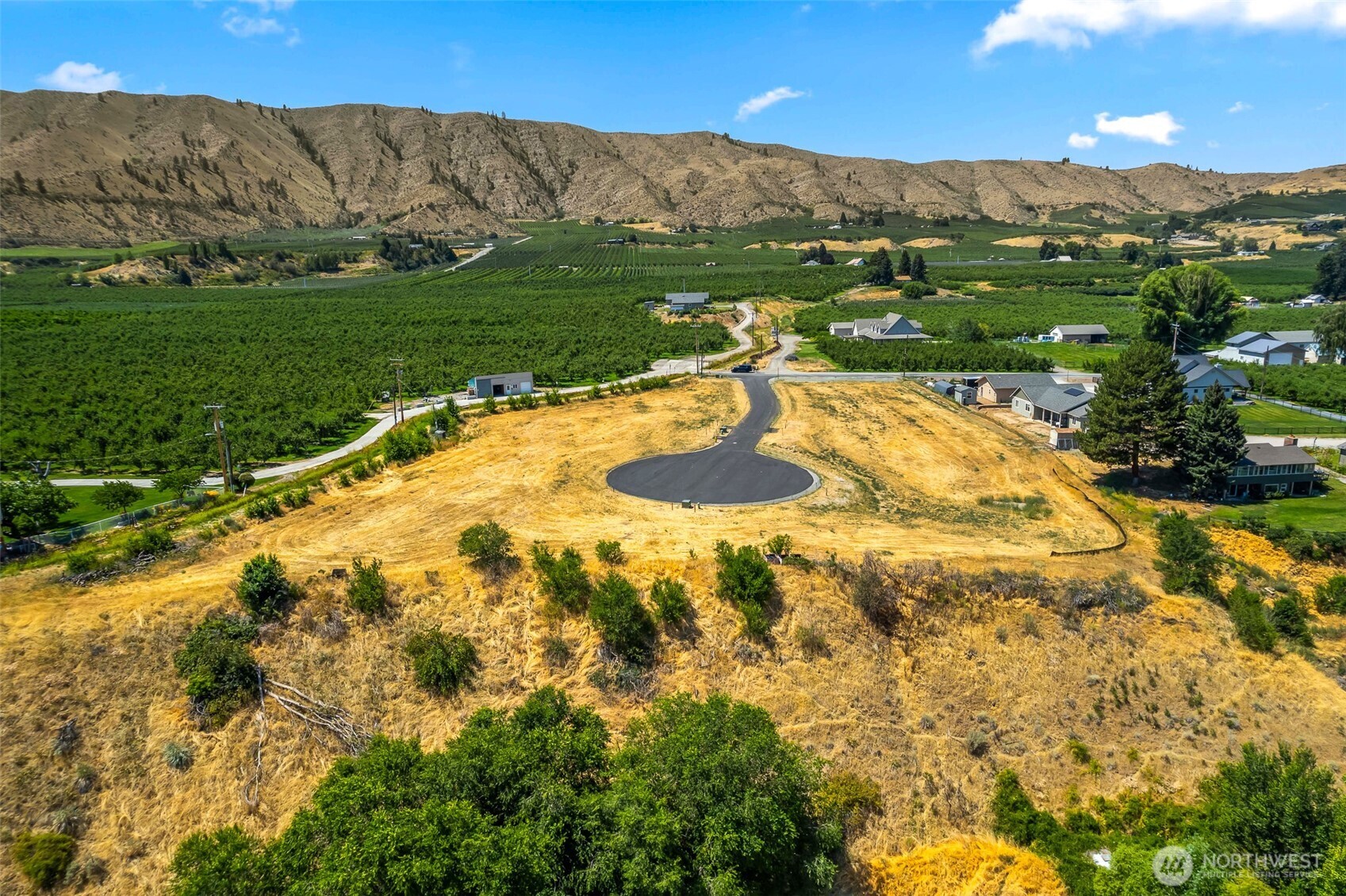 20 Penstemon Lane Monitor, WA 98836 - Photo 6 of 16