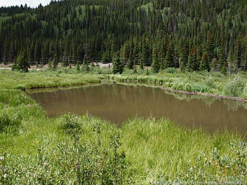 194 Range Road Breckenridge, CO 80424 - Photo 3 of 17 Land. All you need is some waders and a fly rod