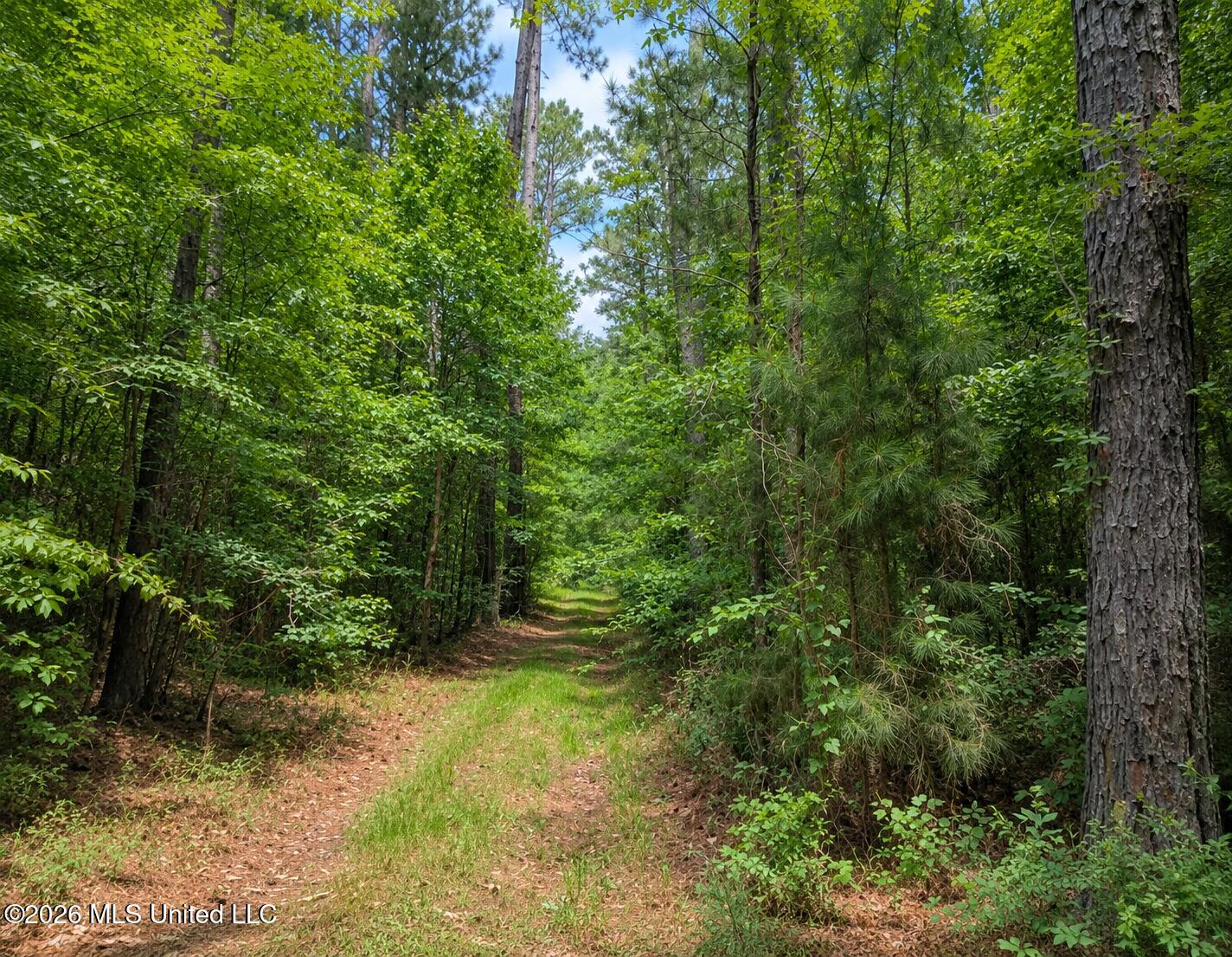 114 Scr Road Magee, MS 39111 - Photo 2 of 4 2E806ED7-DD07-4BE7-B3E8-5EC58D97B309