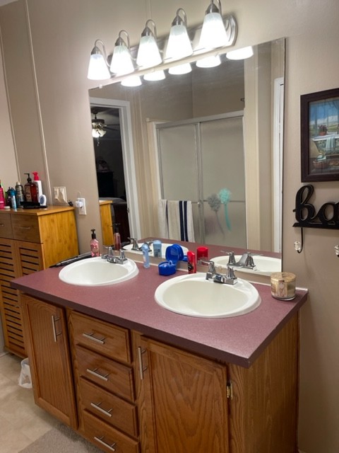10047 Judy Road Lyles, TN 37098 - Photo 13 of 32 a bathroom with a sink and a mirror