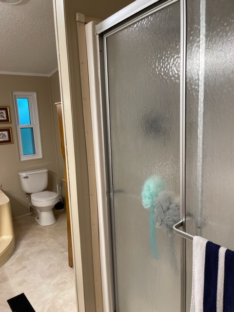 10047 Judy Road Lyles, TN 37098 - Photo 14 of 32 a bathroom with a granite countertop shower and a toilet