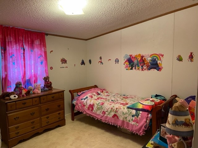10047 Judy Road Lyles, TN 37098 - Photo 22 of 32 a bedroom with a bed and a dresser in it